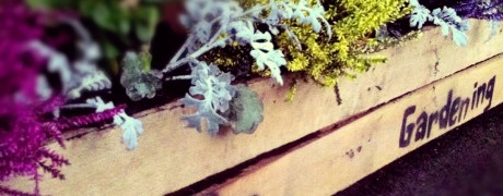 Vertical Gardening